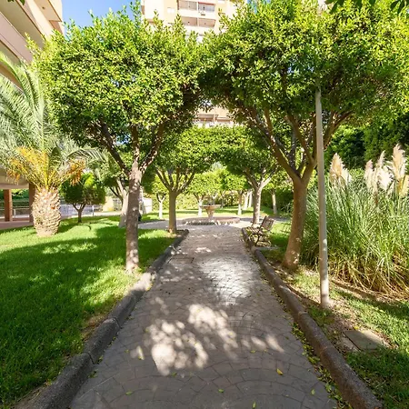 Calle Ciruelo